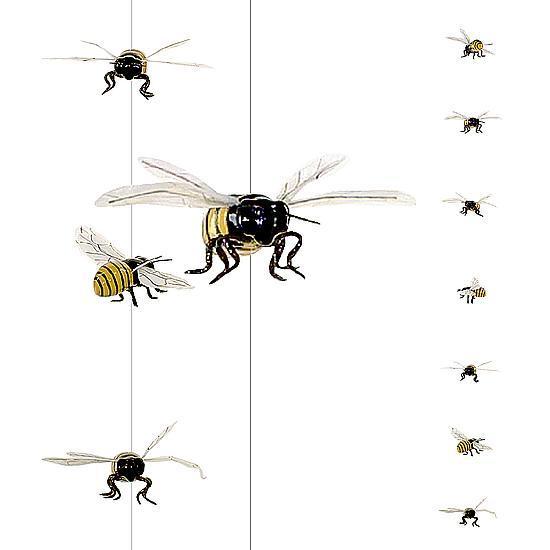 Bee chain