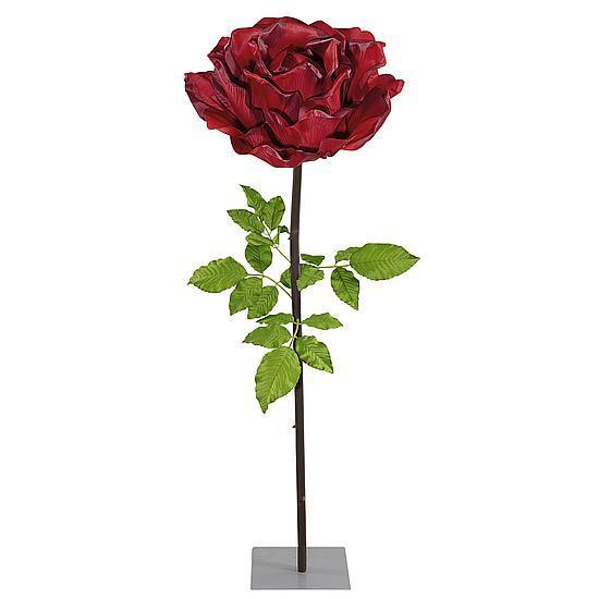 XXL Rose