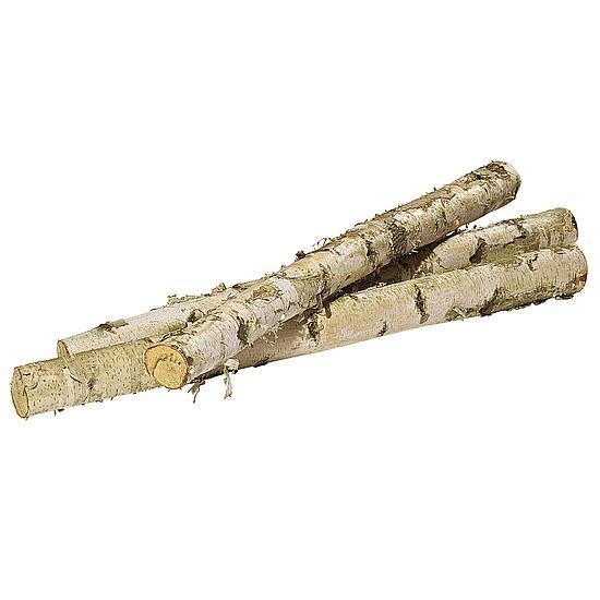 Birch trunk