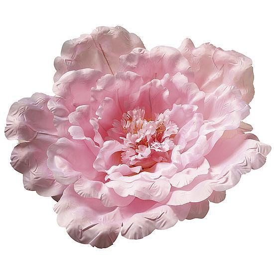 Peony blossom XL