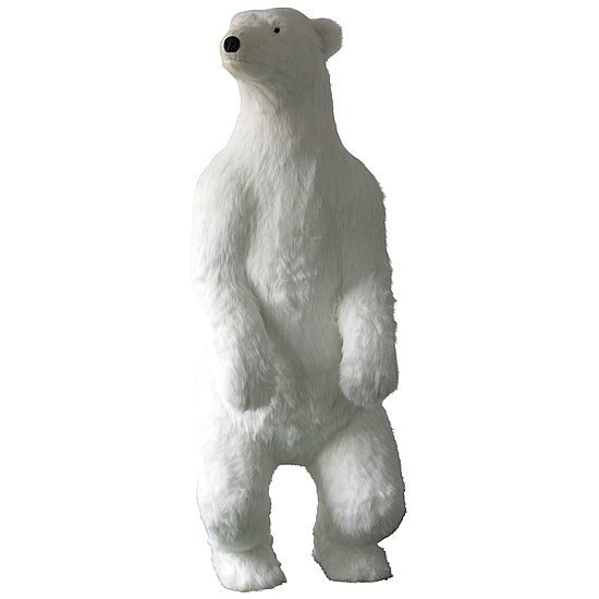 Polar Bear