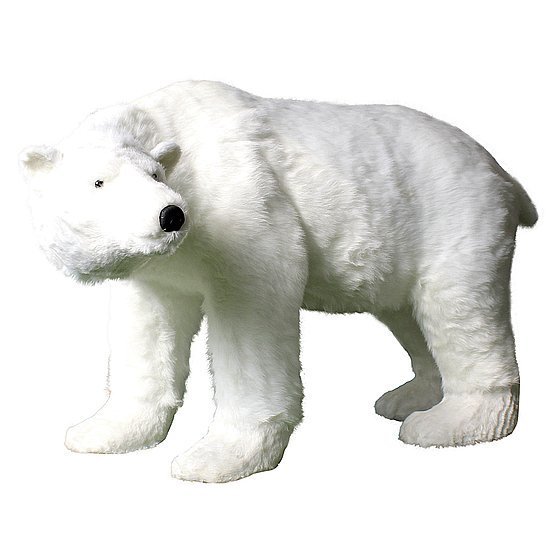 Polar Bear