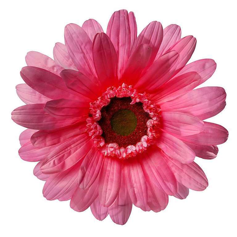 Gerbera-Bloem 45cm