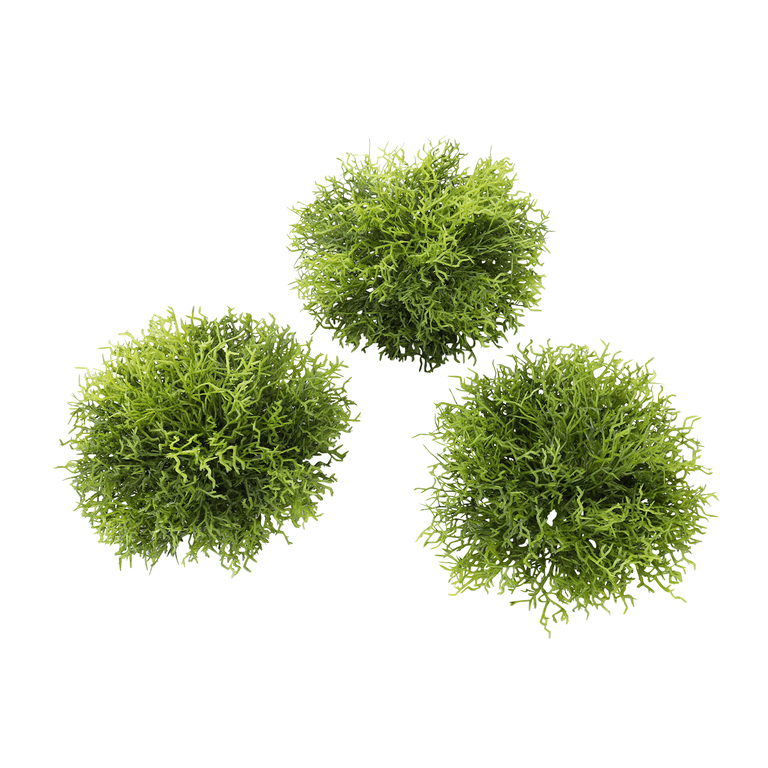 "Decorative moss hemispheres 3pcs. set 9 x 14 cm"