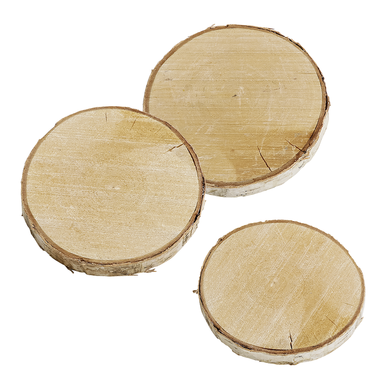 "Birch slice 16 x 2cm Set of 3 15 cm Ø"