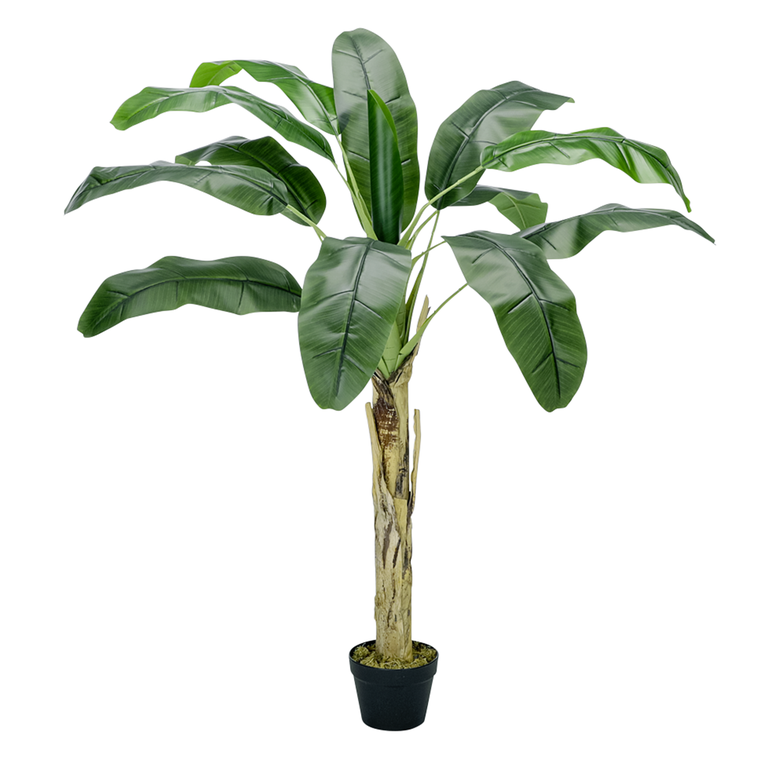 "Deco Banana Tree in Pot 150 cm"