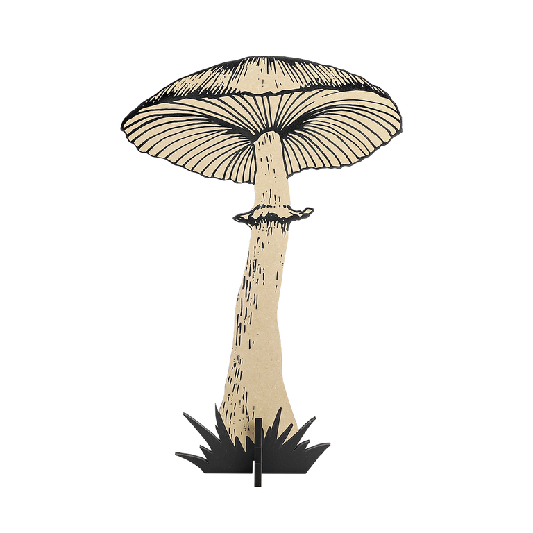 "Mushroom Stand natural / black"