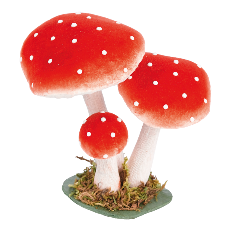 Fly agaric,