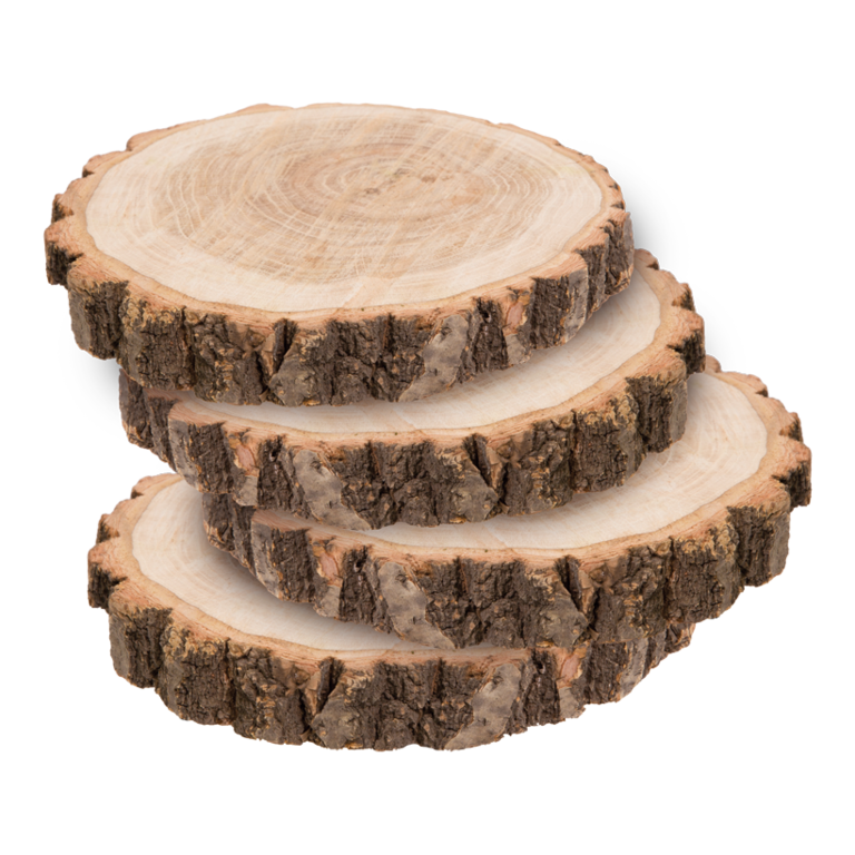 Wooden discs, 4 stuks 