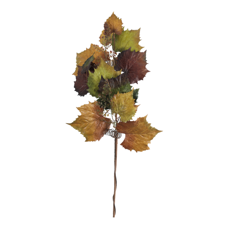 Vine leaf twig,