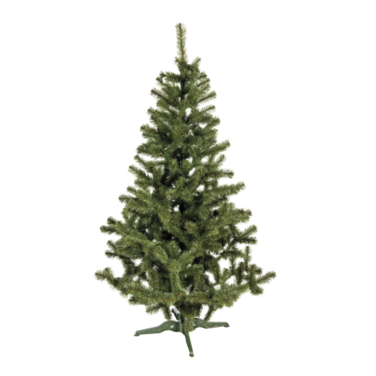 Noble fir with stand,