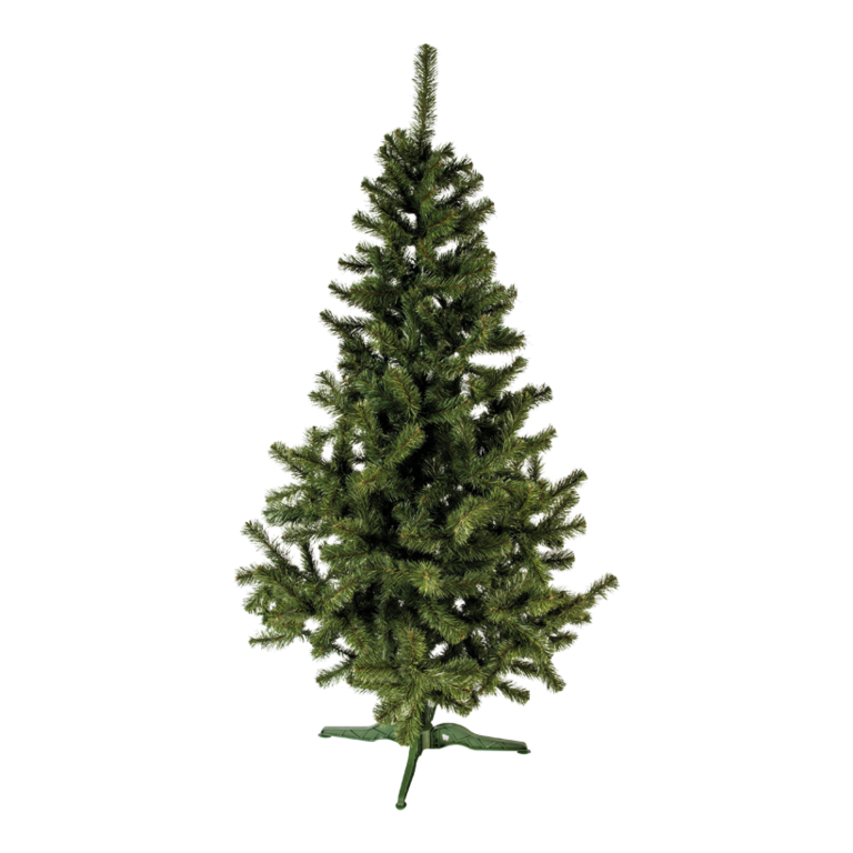 Noble fir with stand,