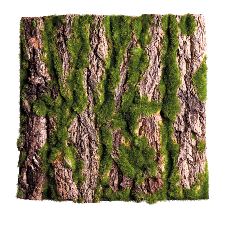 Bark plate,