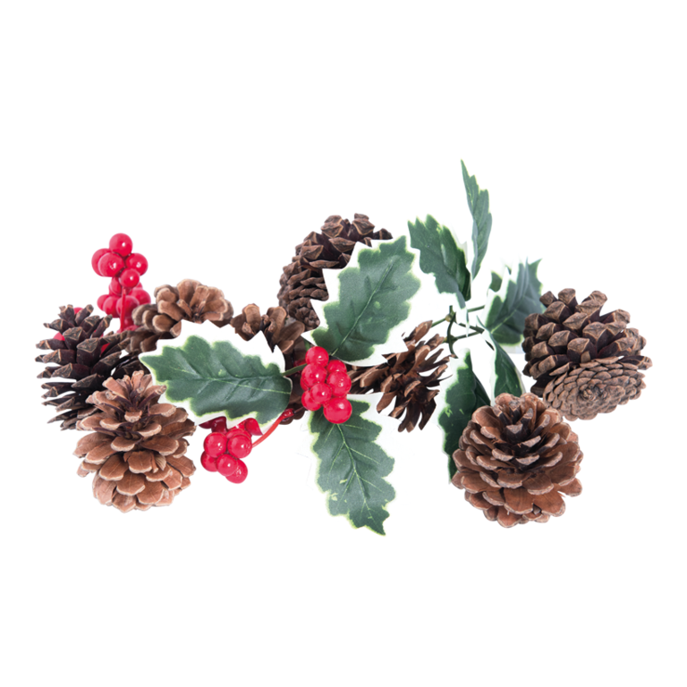 Fir cone,