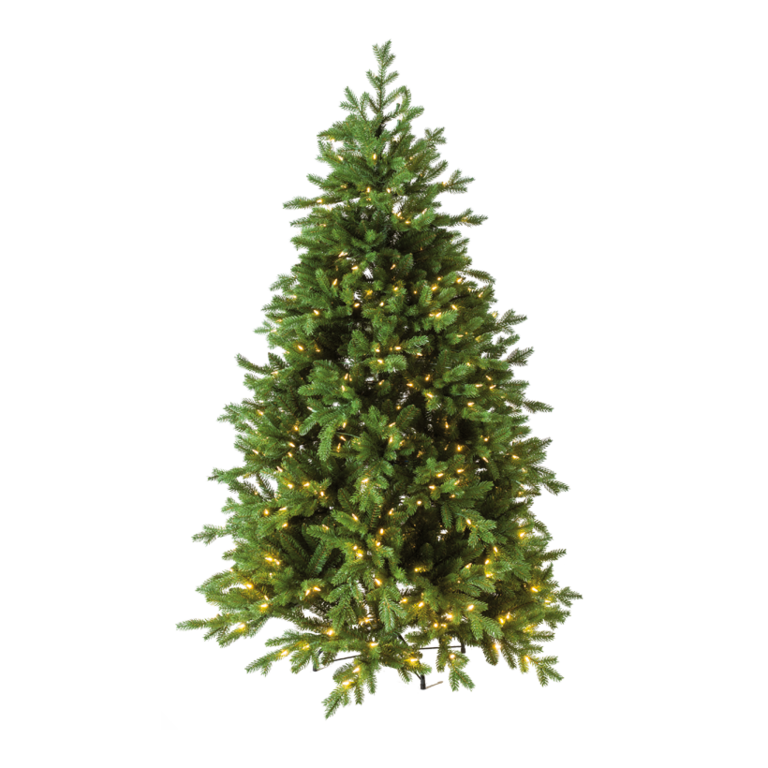 Noble fir,