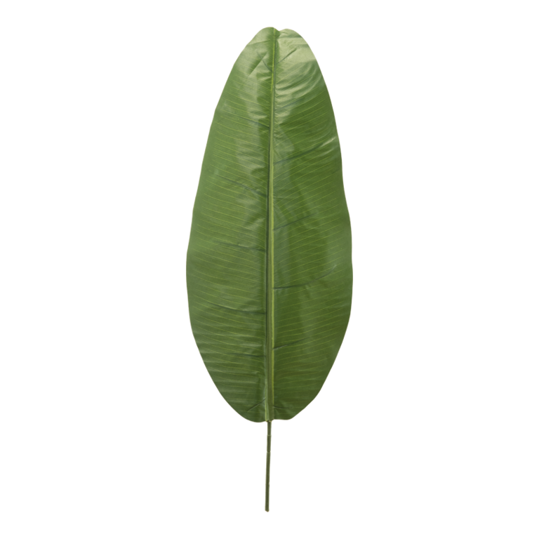 Banana leaf,