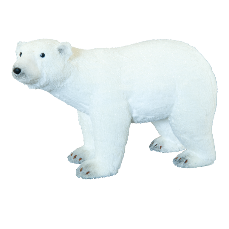 Polar bear,