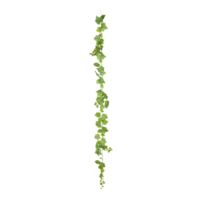 Grape leaf garland,