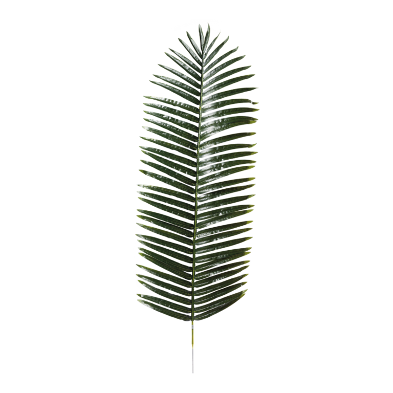 Palm leaf,