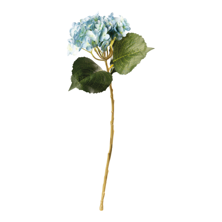 Hydrangea on stem,