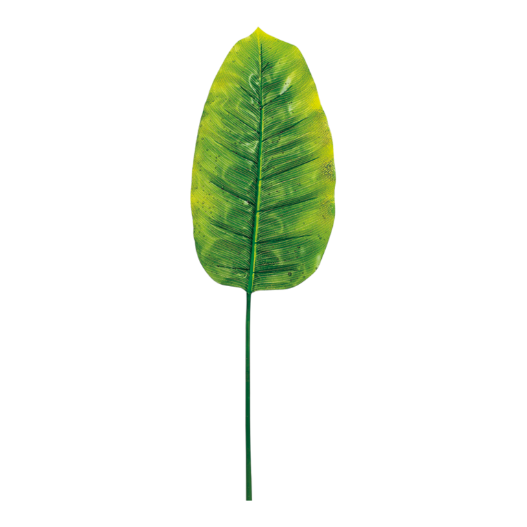 Banana leaf