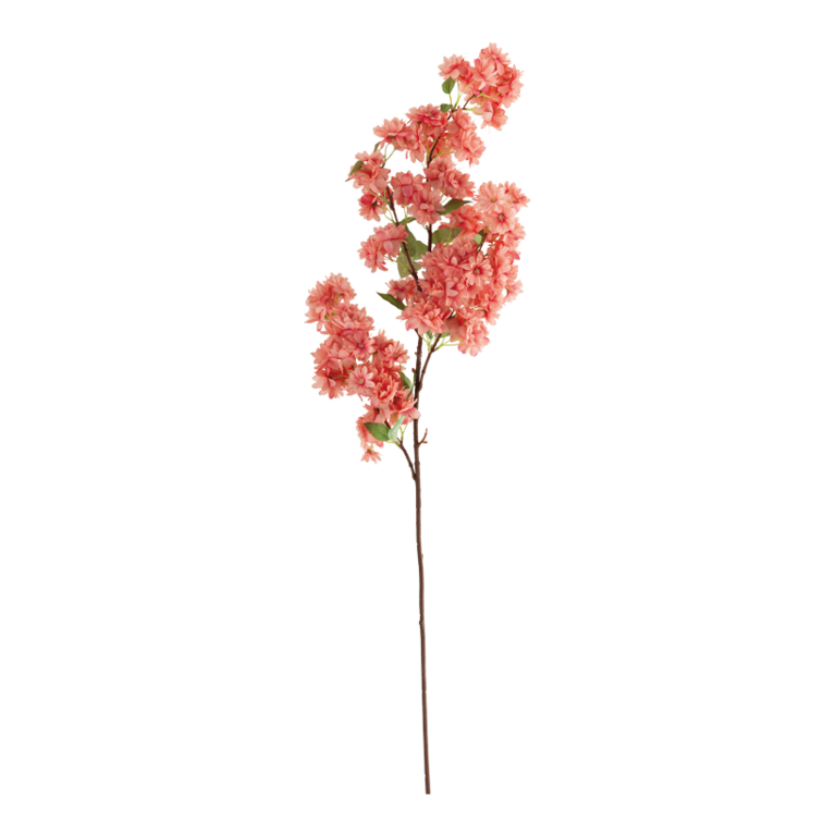 Cherry blossom twig