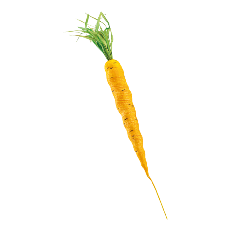 Carrot