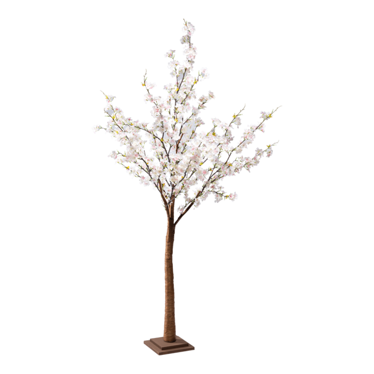 Cherry blossom tree