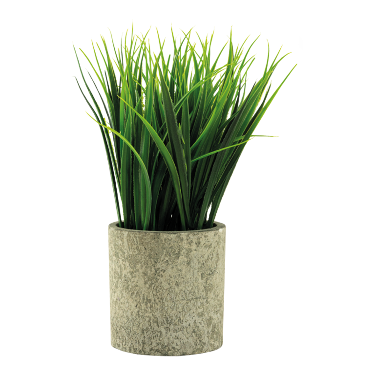 Grass in pot