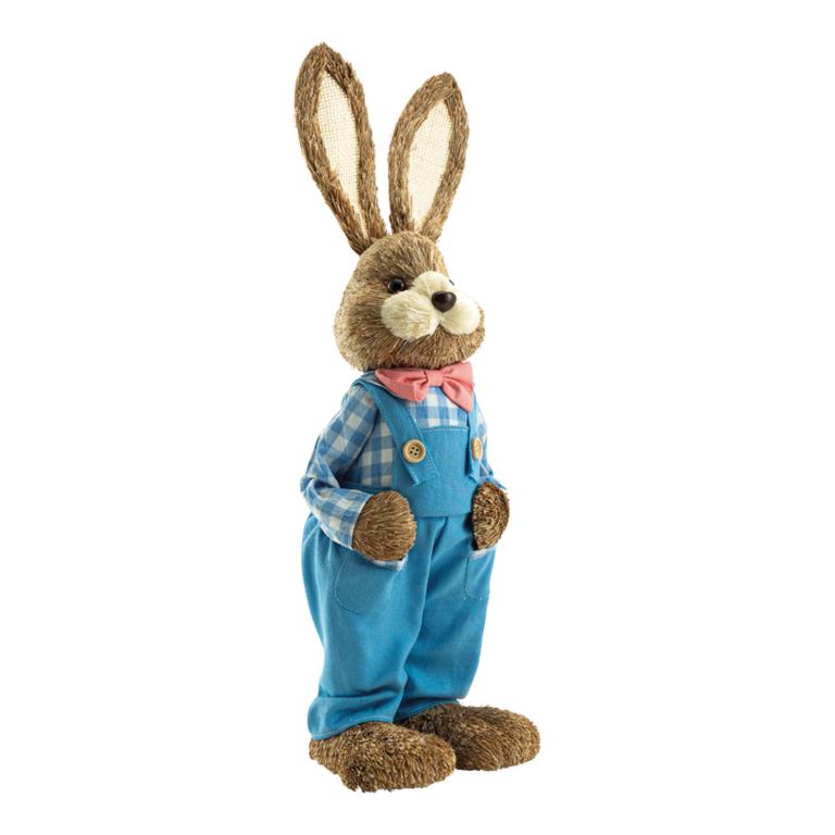 Rabbit with dungarees