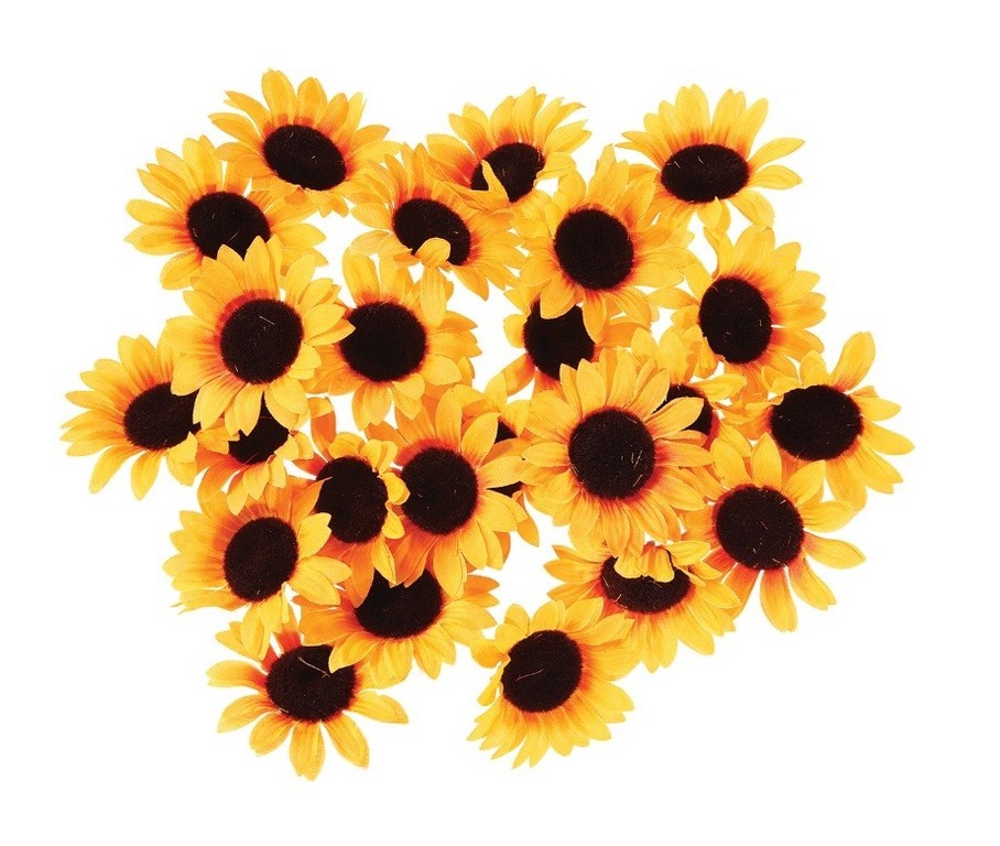 Sonnenblumen-Streubl. 24St