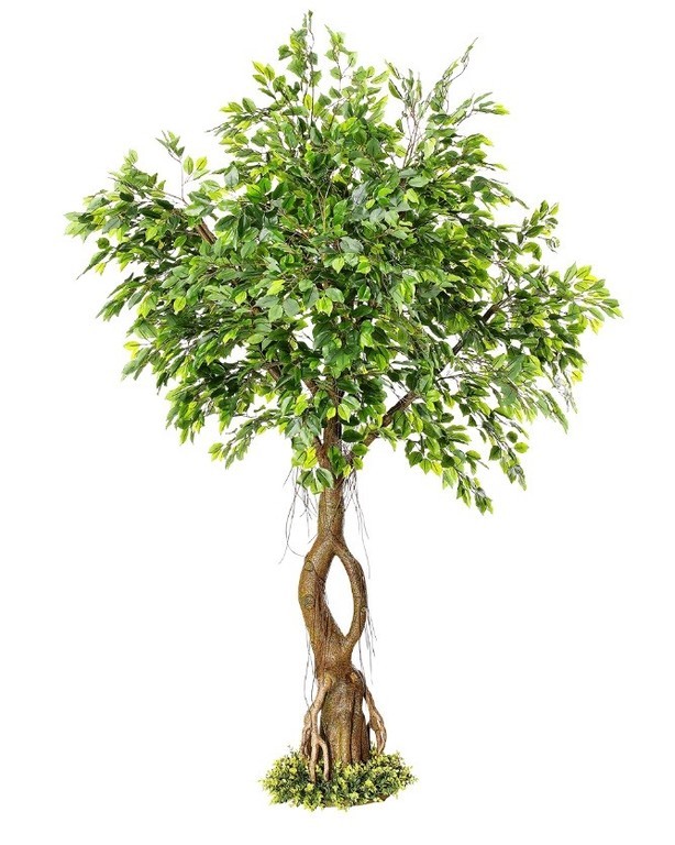 "Artificial ficus tree with stand 245 cm"