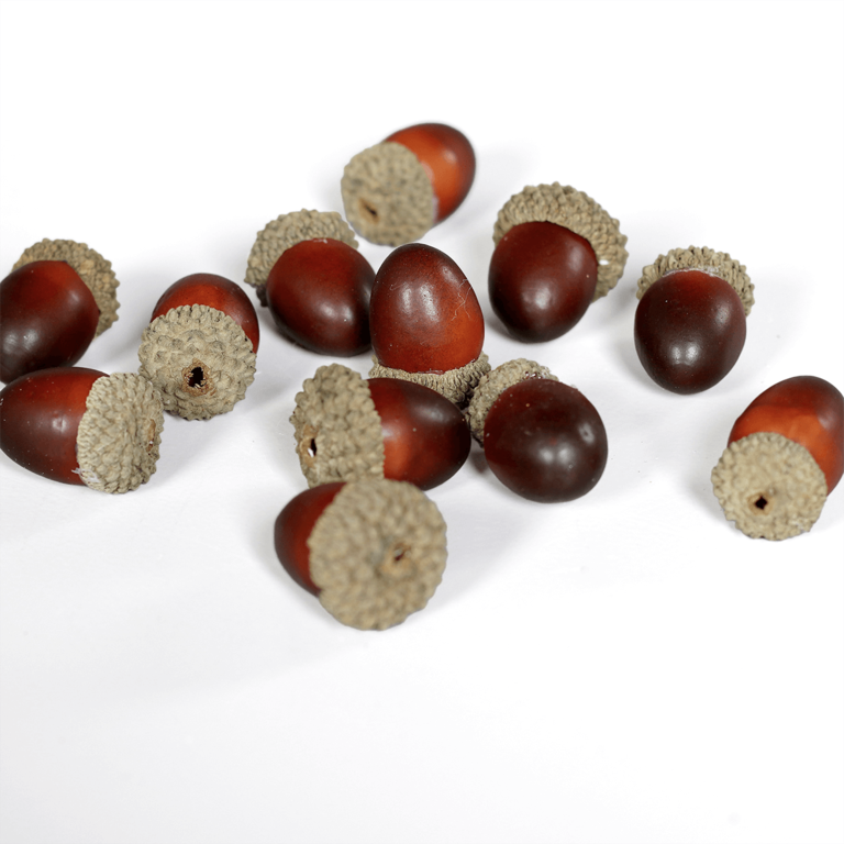 "Artificial scattered acorns brown 3 cm"