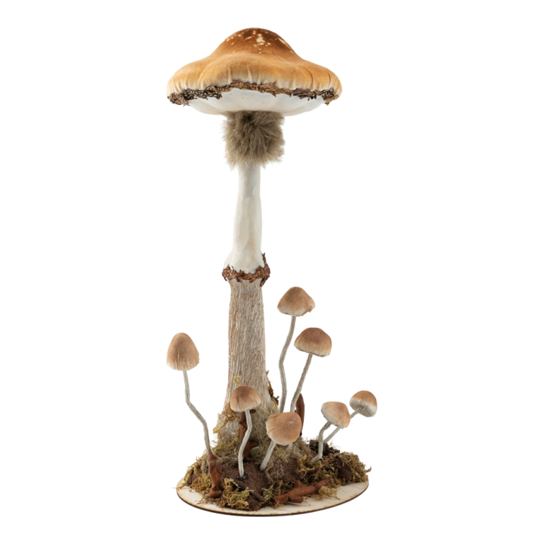 Mushroom