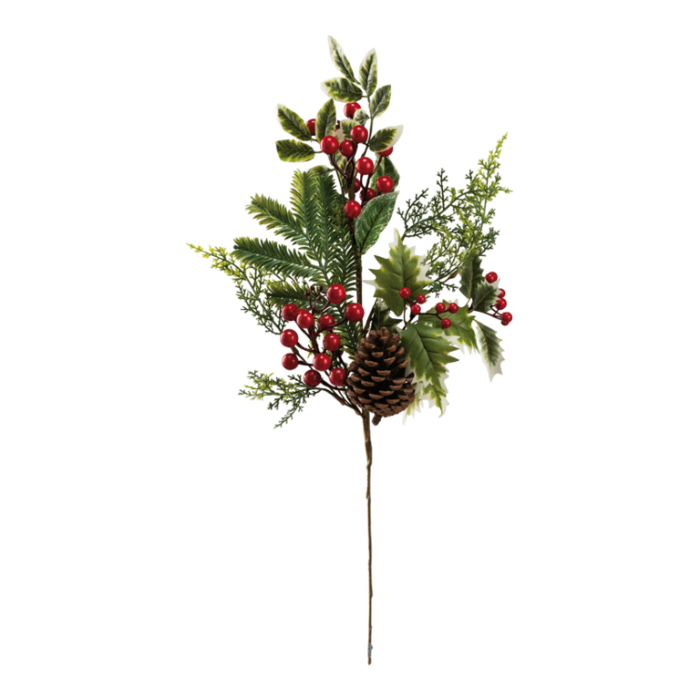 Fir twig with berries