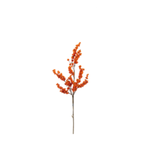 Berry twig