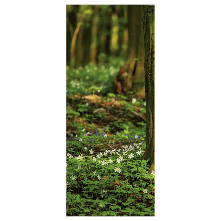 "Flame retardant fabric banner forest floor"