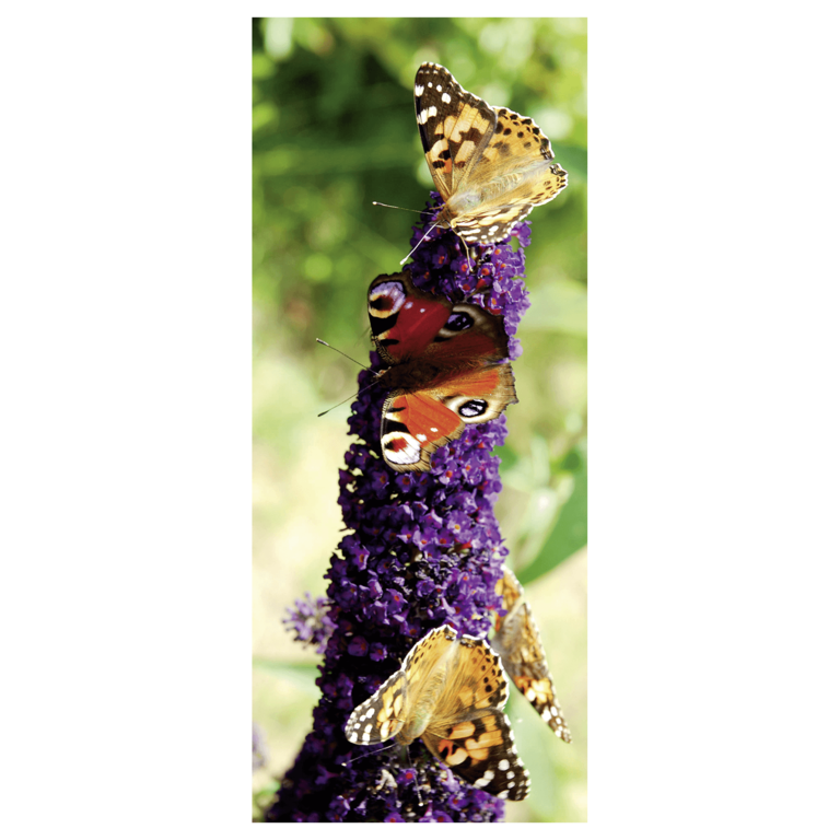 "Flame retardant fabric banner butterflies"